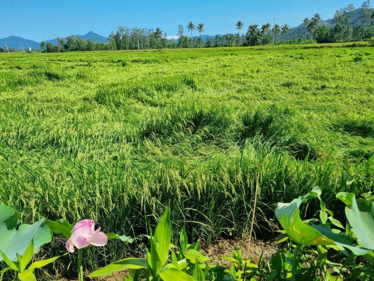 Katie'S Homestay Dong My المظهر الخارجي الصورة