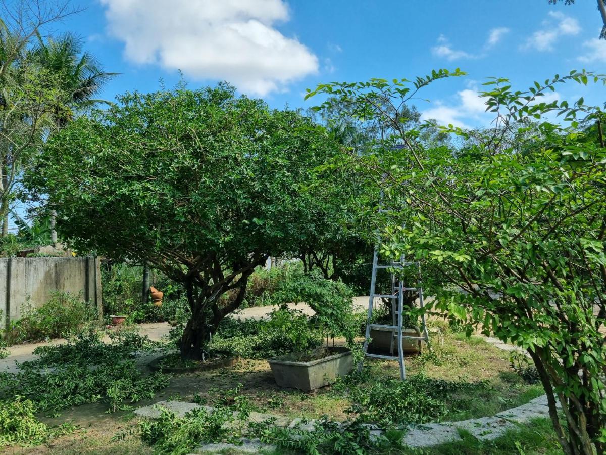 Katie'S Homestay Dong My المظهر الخارجي الصورة